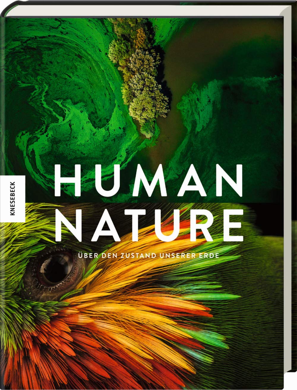 Human Nature Mathematics