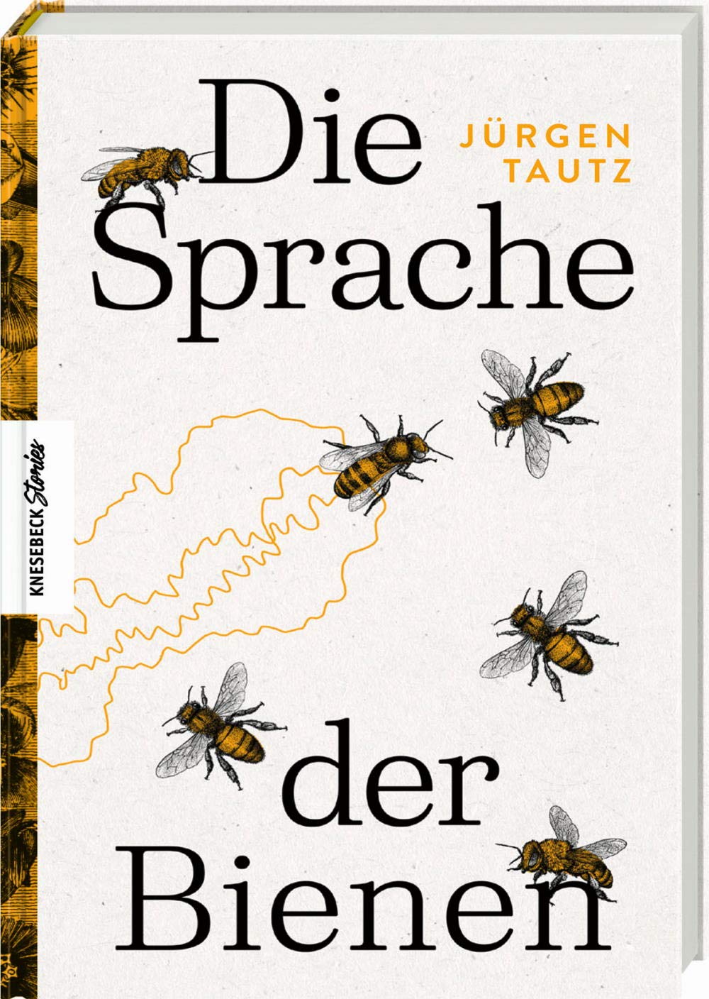 Die Sprache der Bienen Mathematics