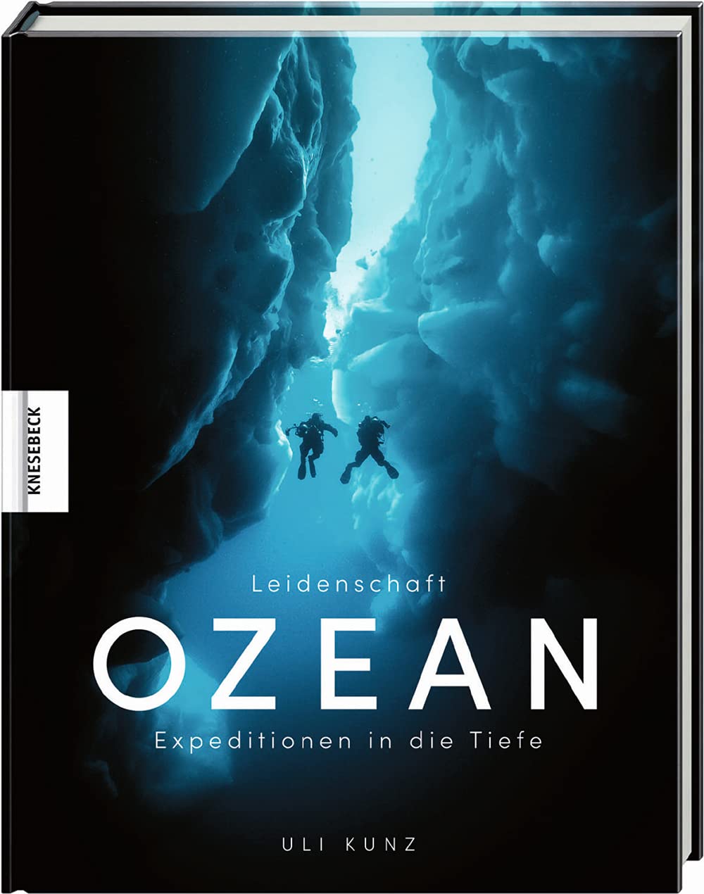 Product Image: Leidenschaft Ozean