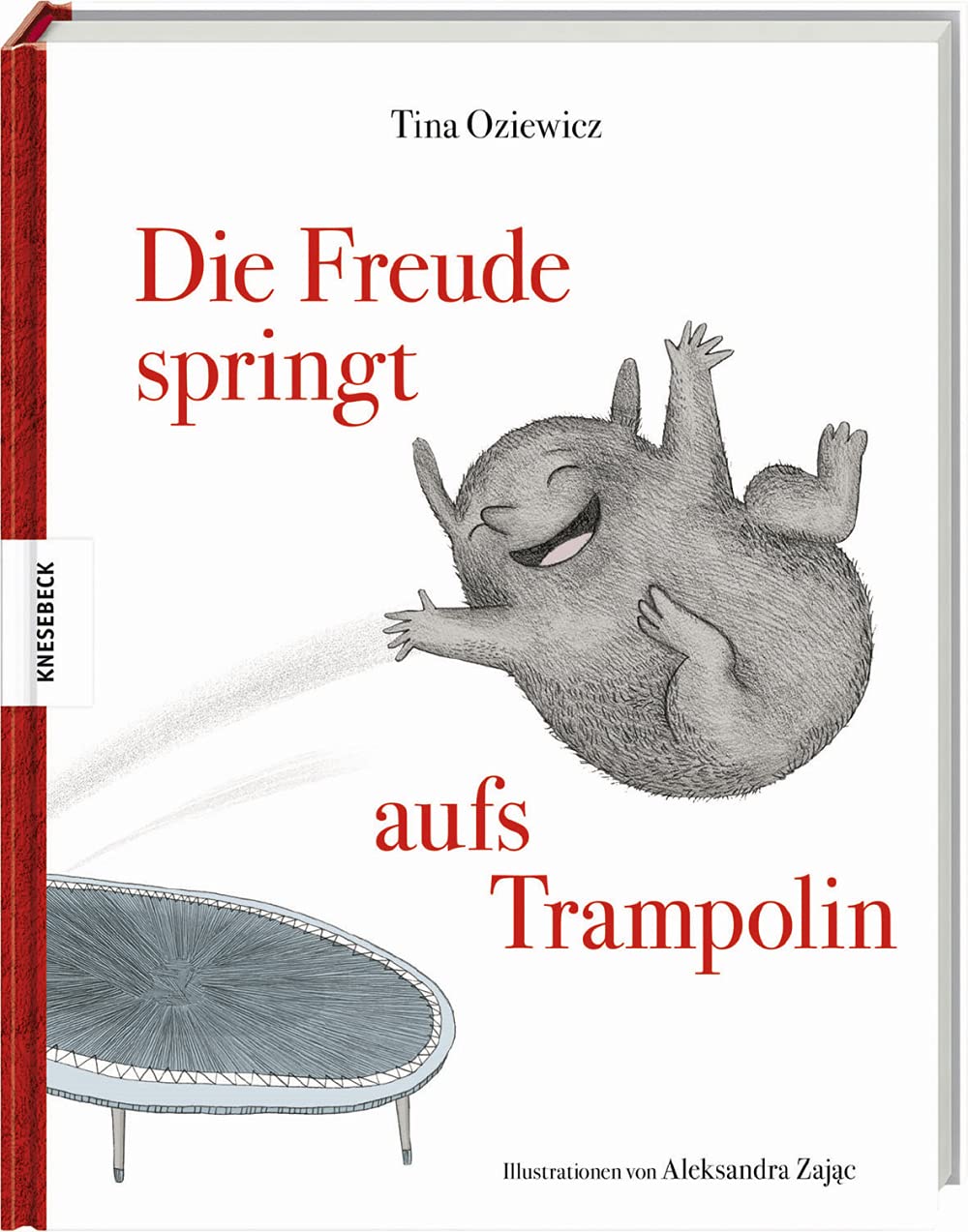 Product Image: Die Freude springt aufs Trampolin