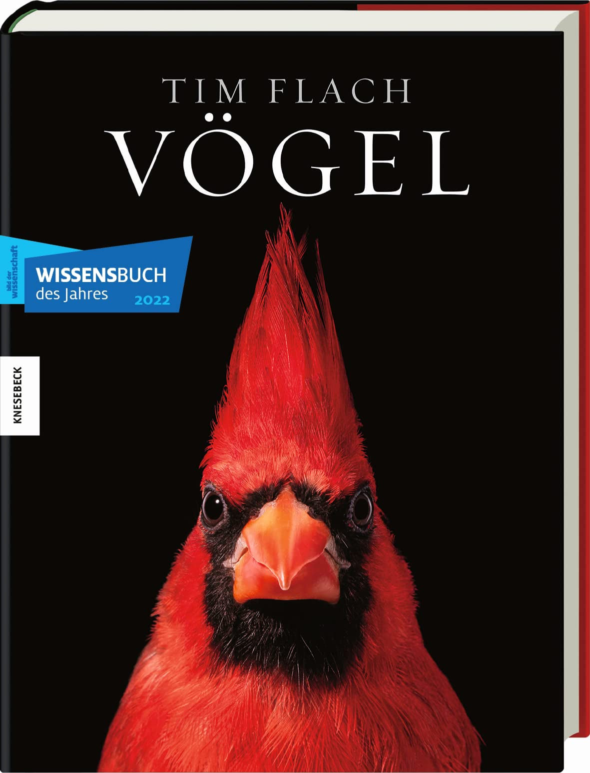 Vögel: Eine fotografische Liebeserklärung in Porträts. Foto-Bildband Vögel der Welt. Wissensbuch des Jahres 2022 Travel Books