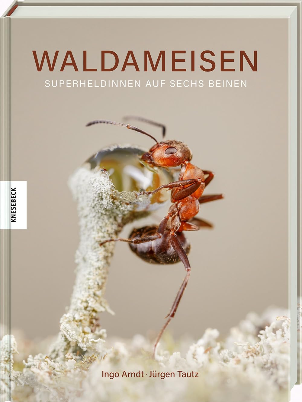 Waldameisen Books