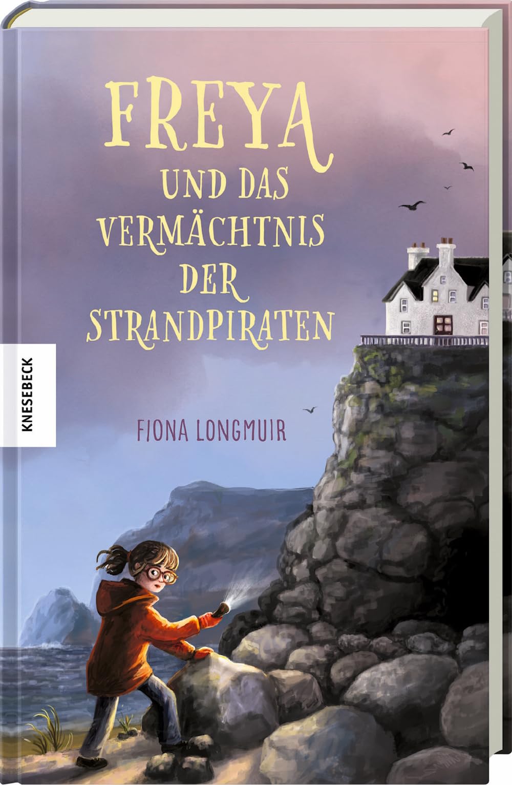 Freya und das Vermächtnis der Strandpiraten Contemporary literature