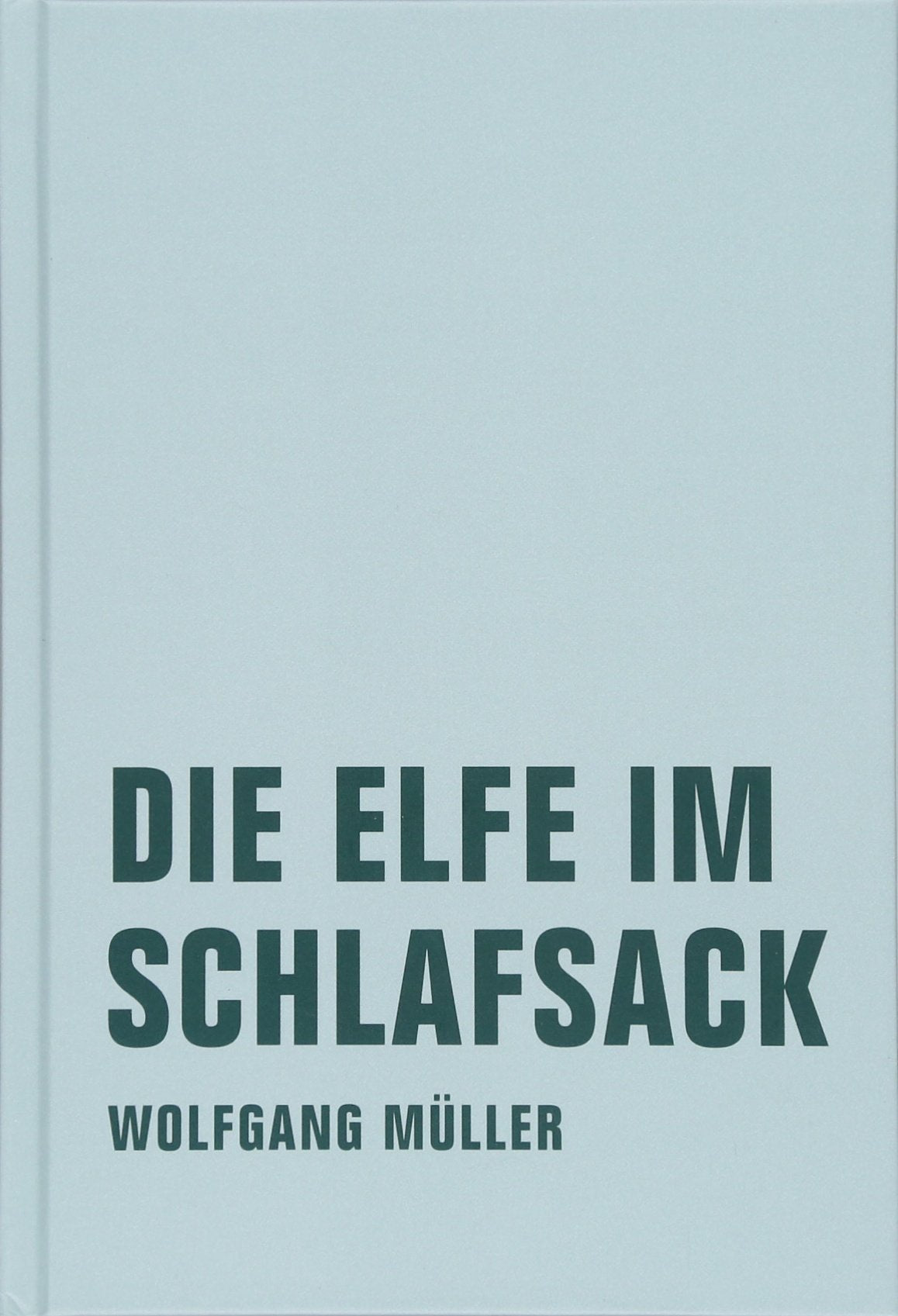 Die Elfe im Schlafsack: Neue Märchen und Fabeln aus Island Contemporary literature