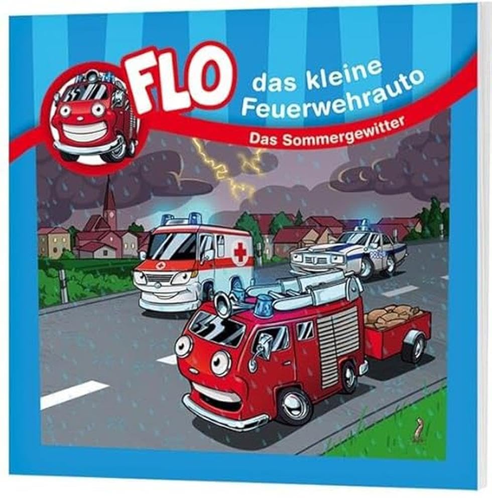 Das Sommergewitter - Minibuch (Flo, das kleine Feuerwehrauto, Band 10) Non-fiction