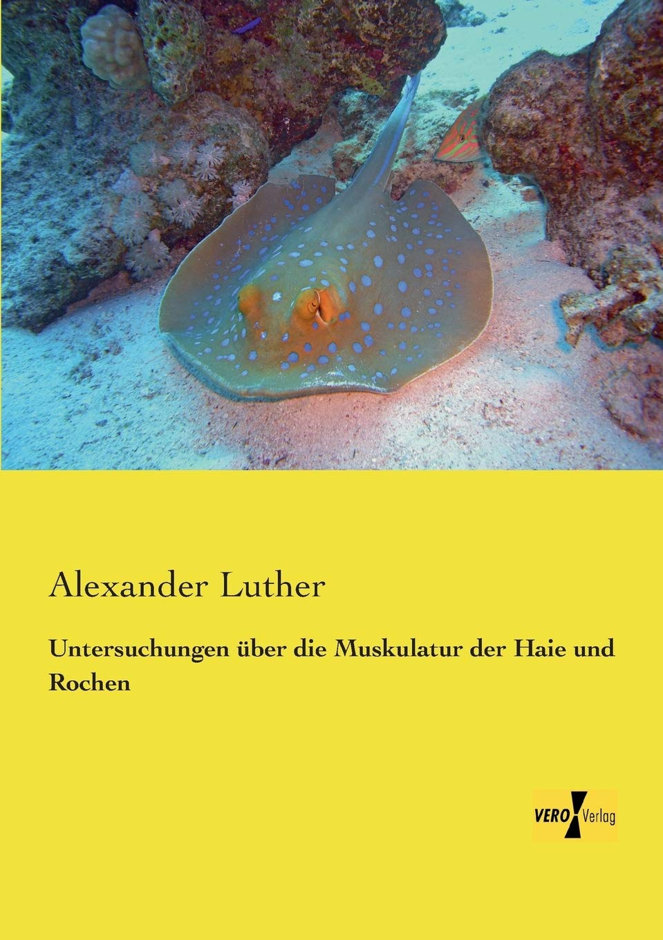 Untersuchungen ueber die Muskulatur der Haie und Rochen Natural Sciences