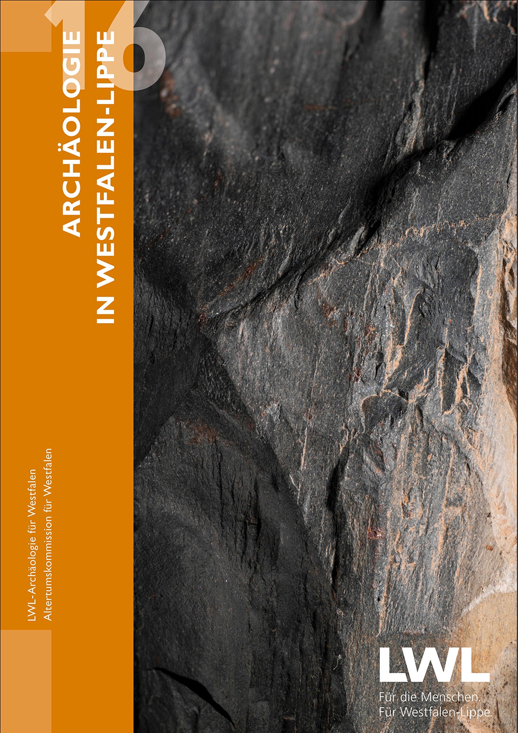 Archäologie in Westfalen-Lippe 2016 (Band 8) Natural Sciences