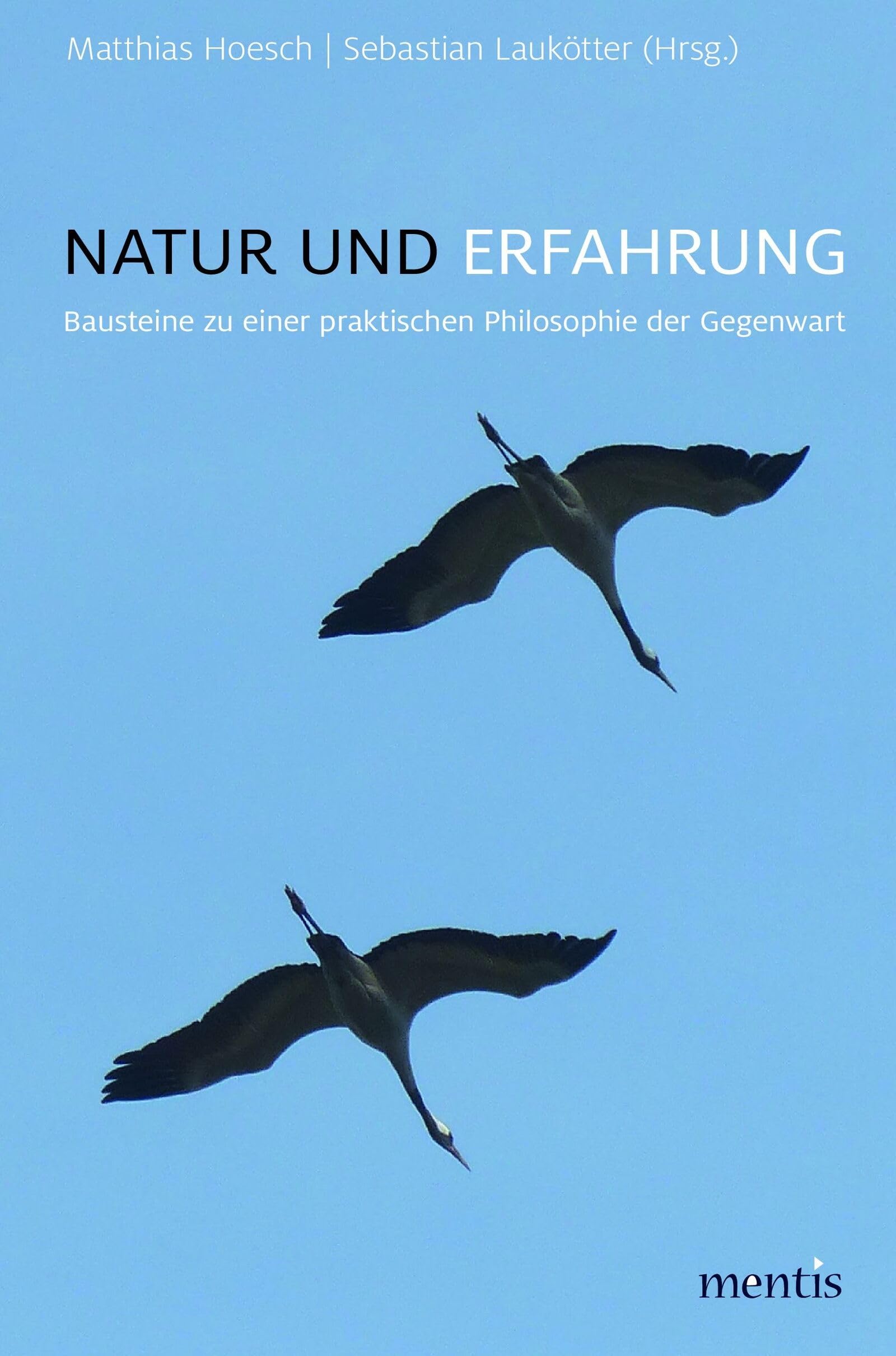 Natur und Erfahrung: Bausteine zu einer praktischen Philosophie der Gegenwart Philosophy