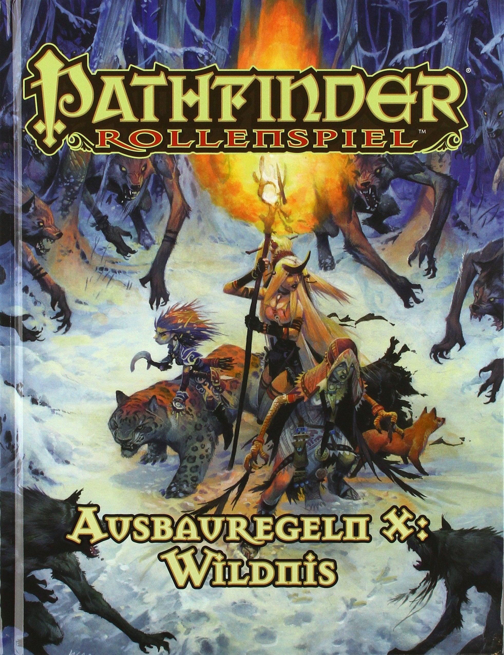 Ausbauregeln X: Wildnis Historical Fiction