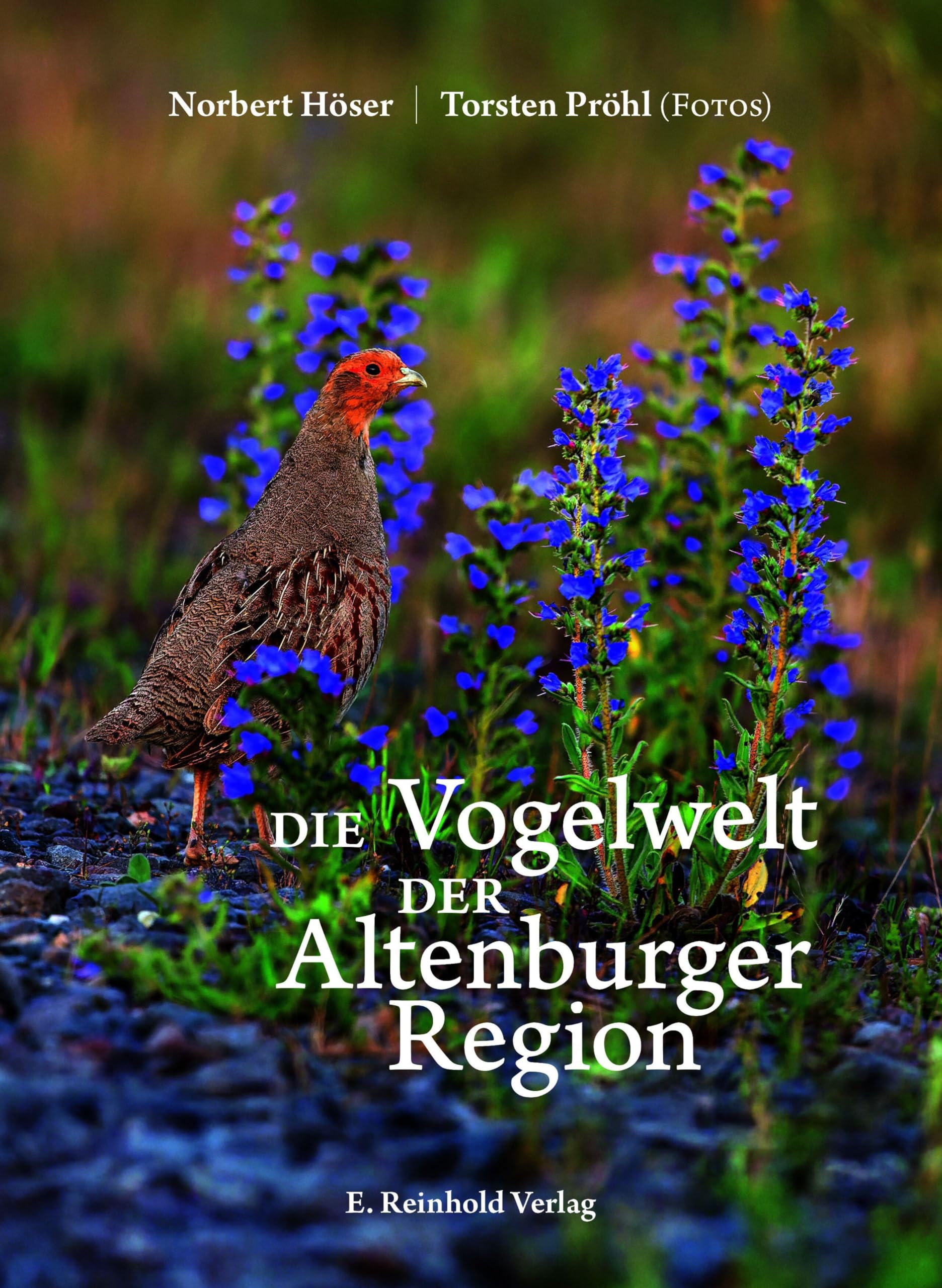 Die Vogelwelt der Altenburger Region Leisure, Home & Garden