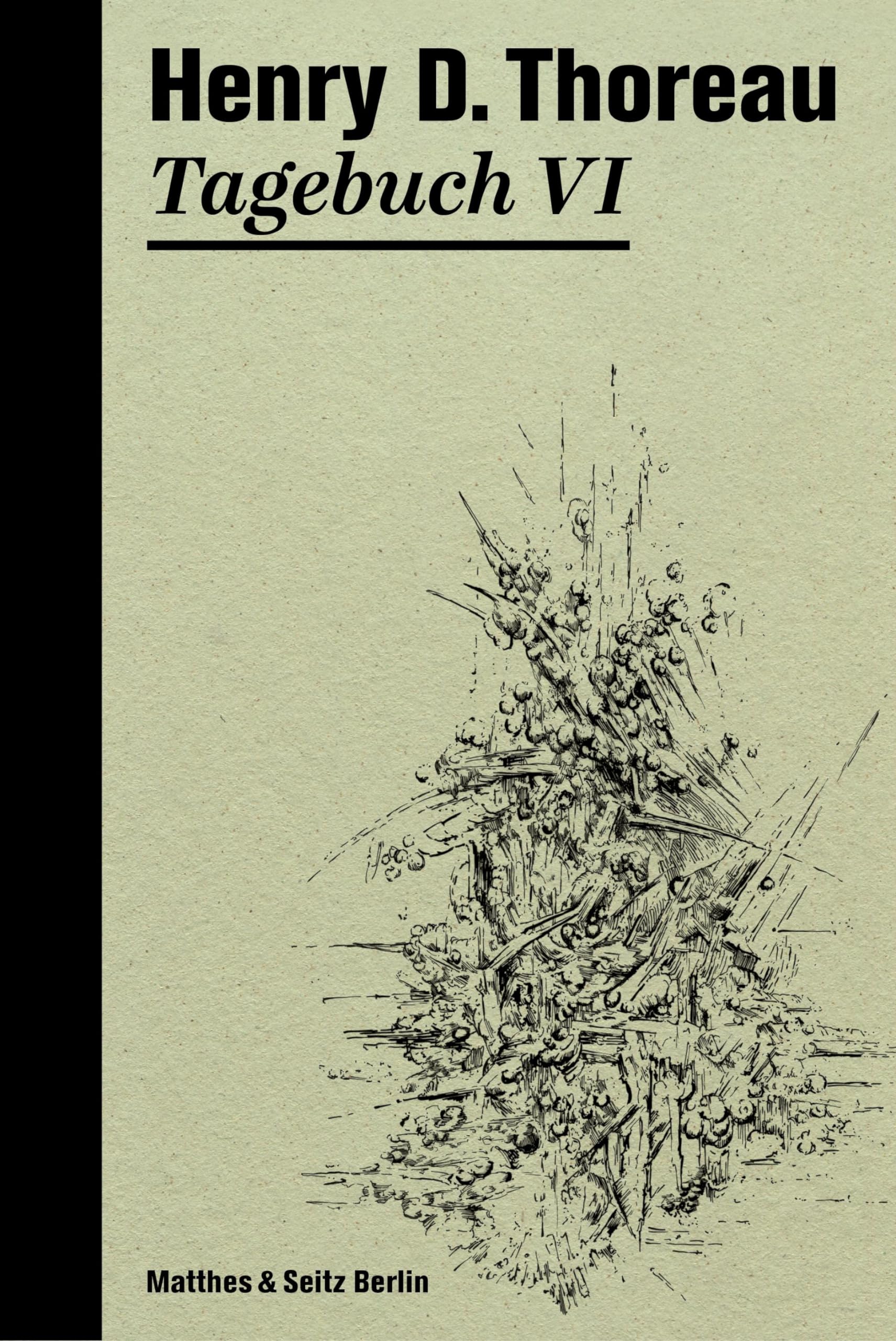 Tagebuch VI (Die Tagebücher von Henry David Thoreau) Essays & Short Stories