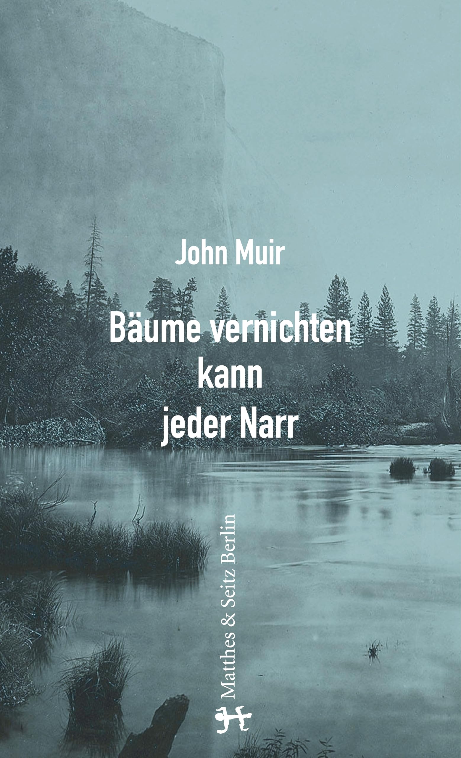 Bäume vernichten kann jeder Narr Mathematics