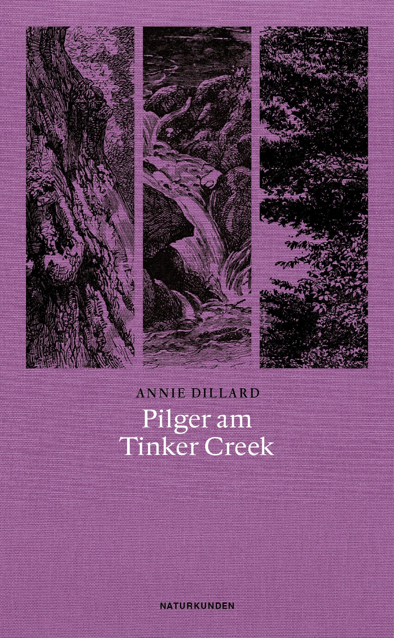 Product Image: Pilger am Tinker Creek