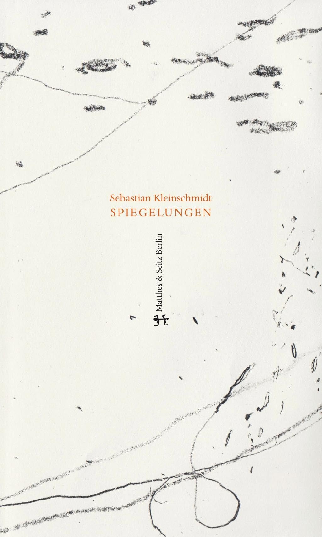 Spiegelungen Philosophy Books