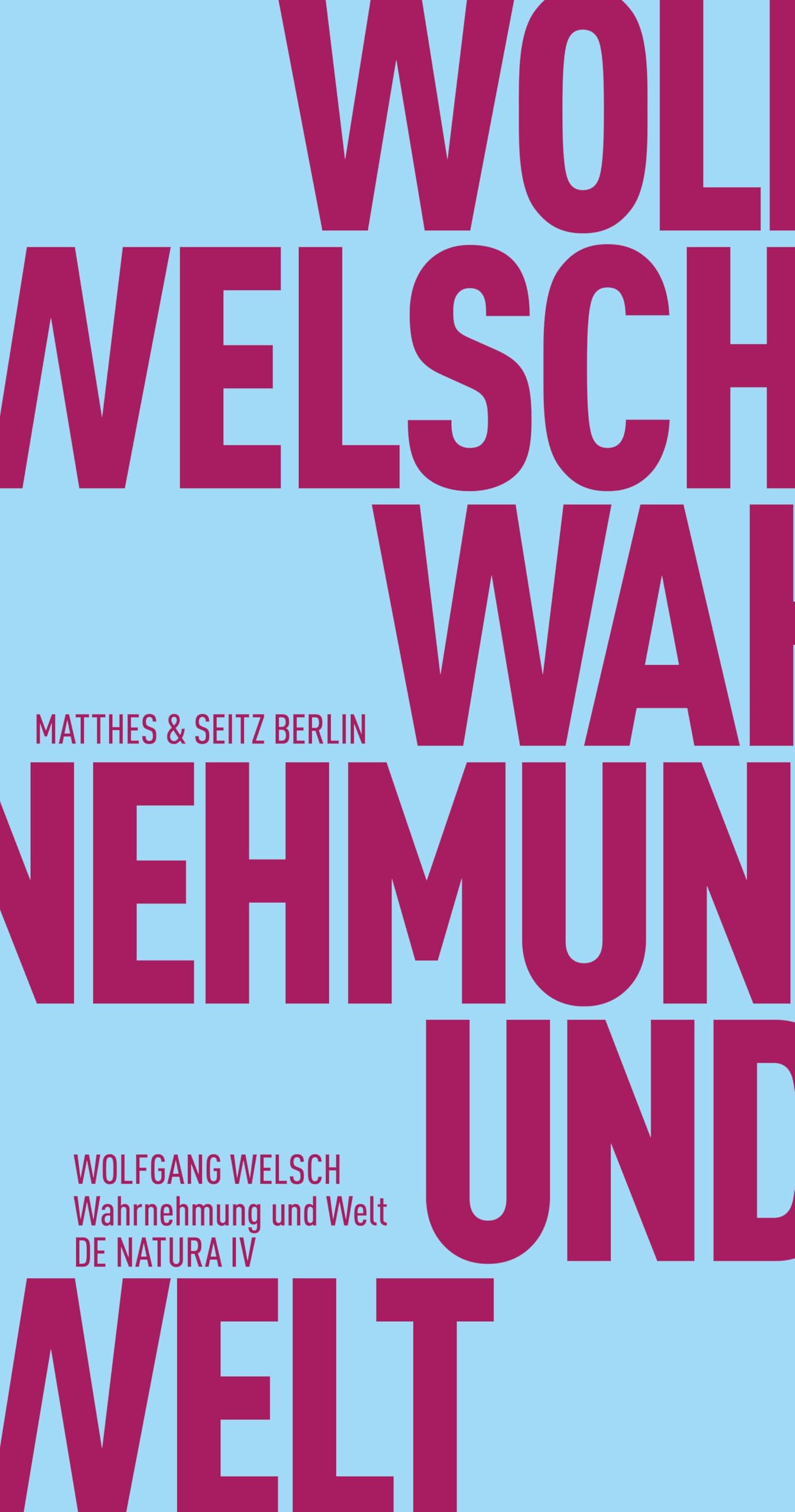 Wahrnehmung und Welt book