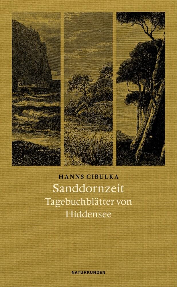 Sanddornzeit Essays & Short Stories