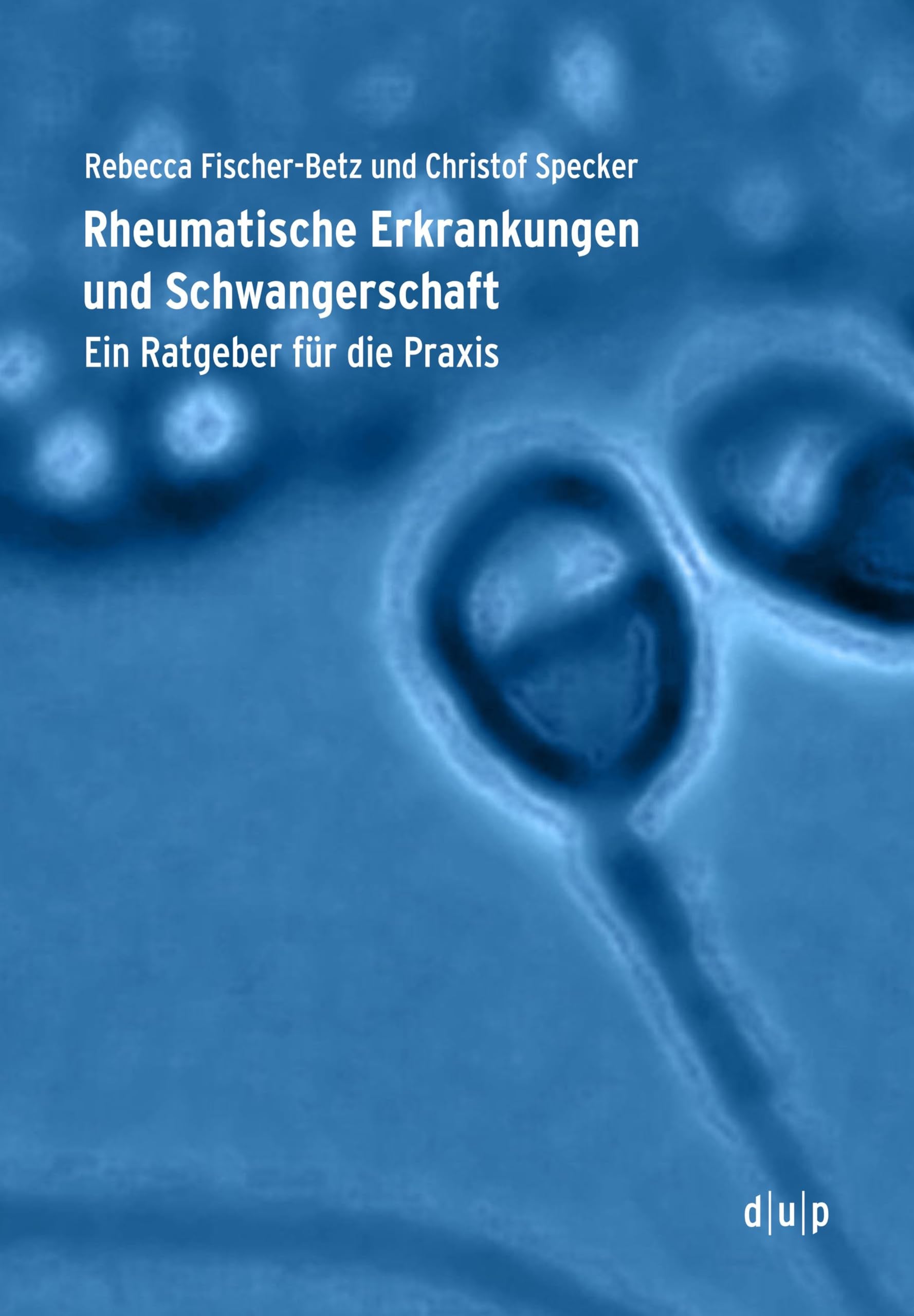 Rheumatische Erkrankungen und Schwangerschaft book