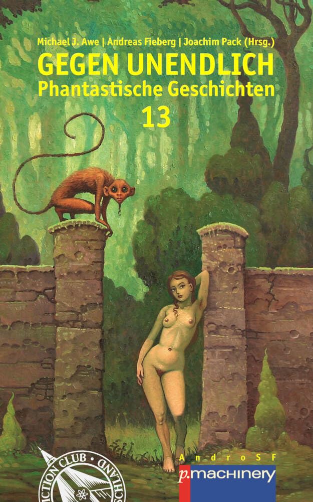 GEGEN UNENDLICH: Phantastische Geschichten - Nr. 13 (AndroSF: Die SF-Reihe für den Science Fiction Club Deutschland e.V. (SFCD)) Contemporary literature Books