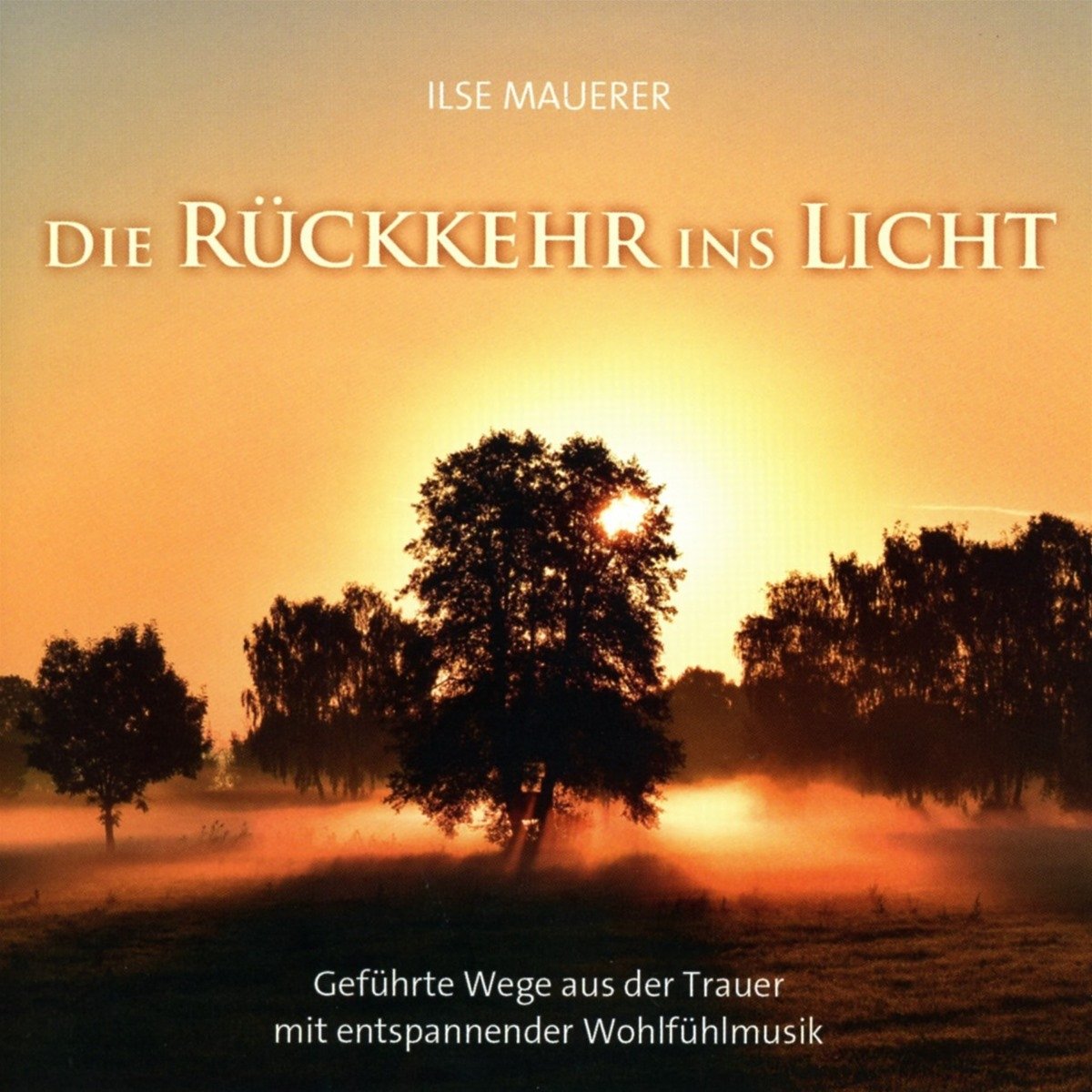 Die Rückkehr ins Licht cd