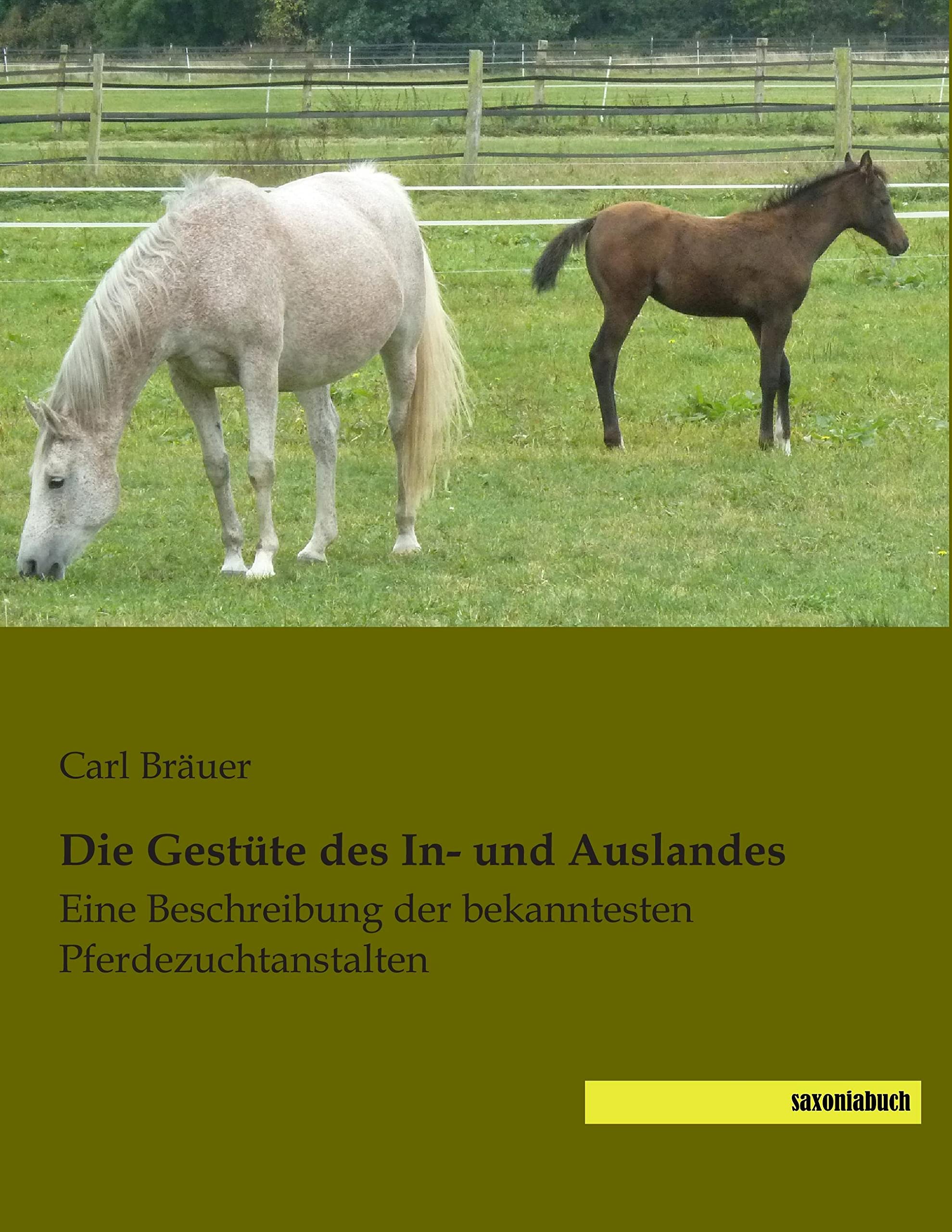 Die Gestüte des In- und Auslandes book