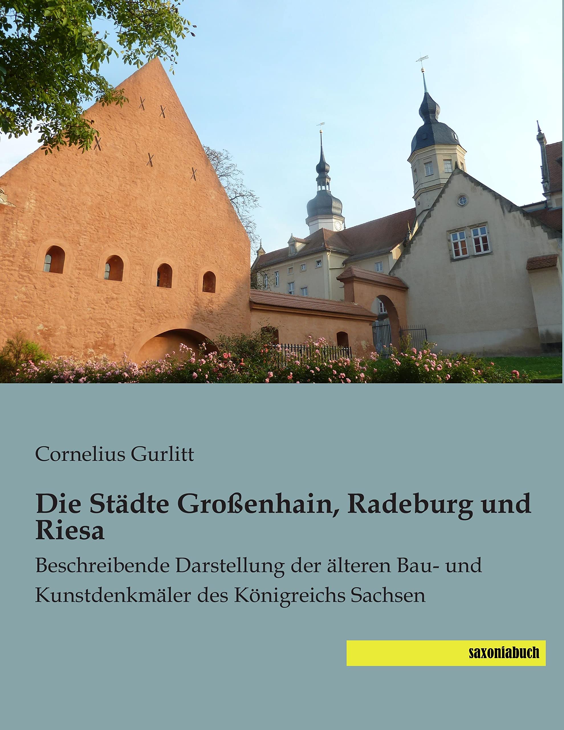 Die Staedte Grossenhain, Radeburg und Riesa: Beschreibende Darstellung der aelteren Bau- und Kunstdenkmaeler des Koenigreichs Sachsen: Beschreibende ... und Kunstdenkmäler des Königreichs Sachsen Architecture