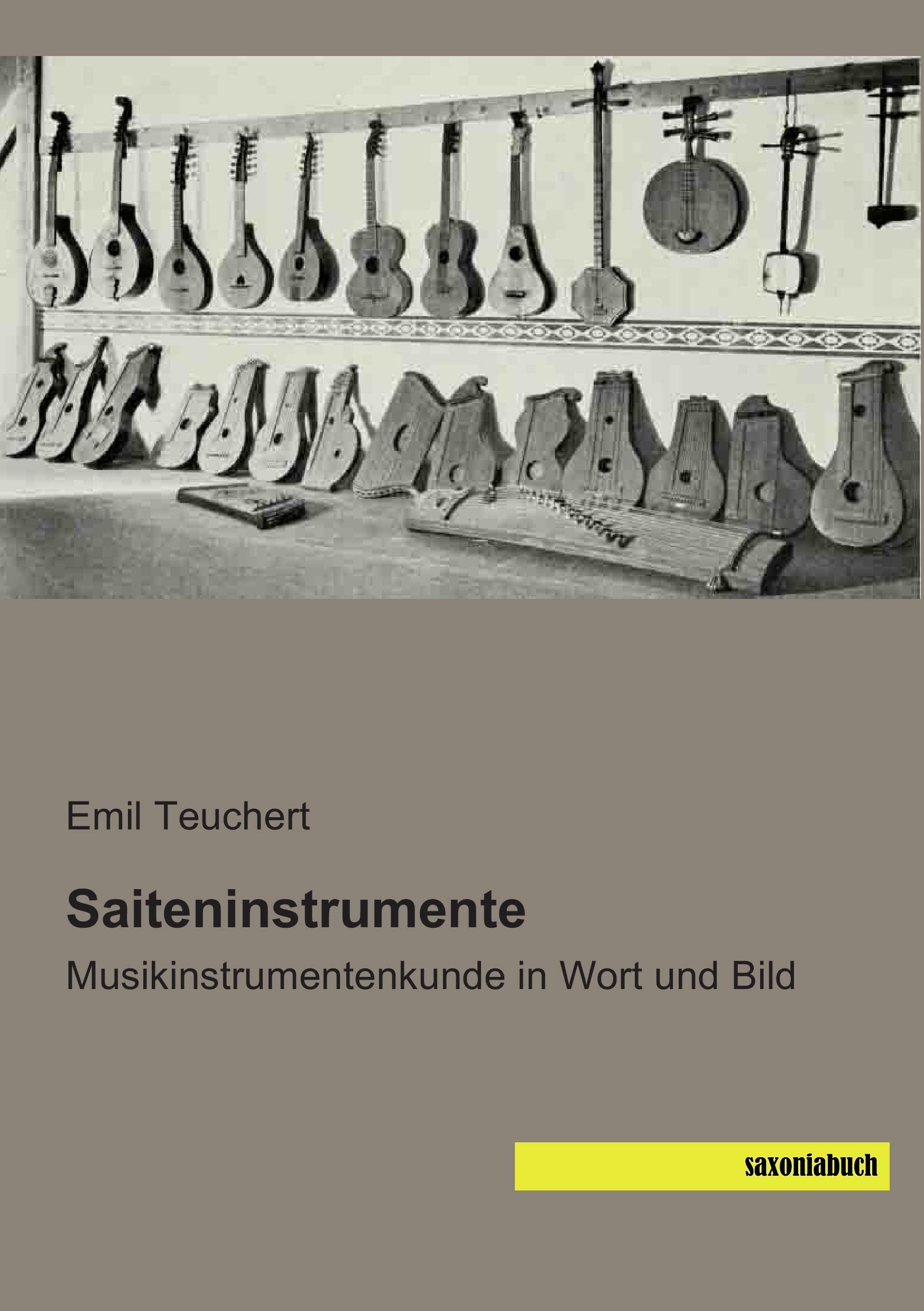 Saiteninstrumente: Musikinstrumentenkunde in Wort und Bild Arts & Music