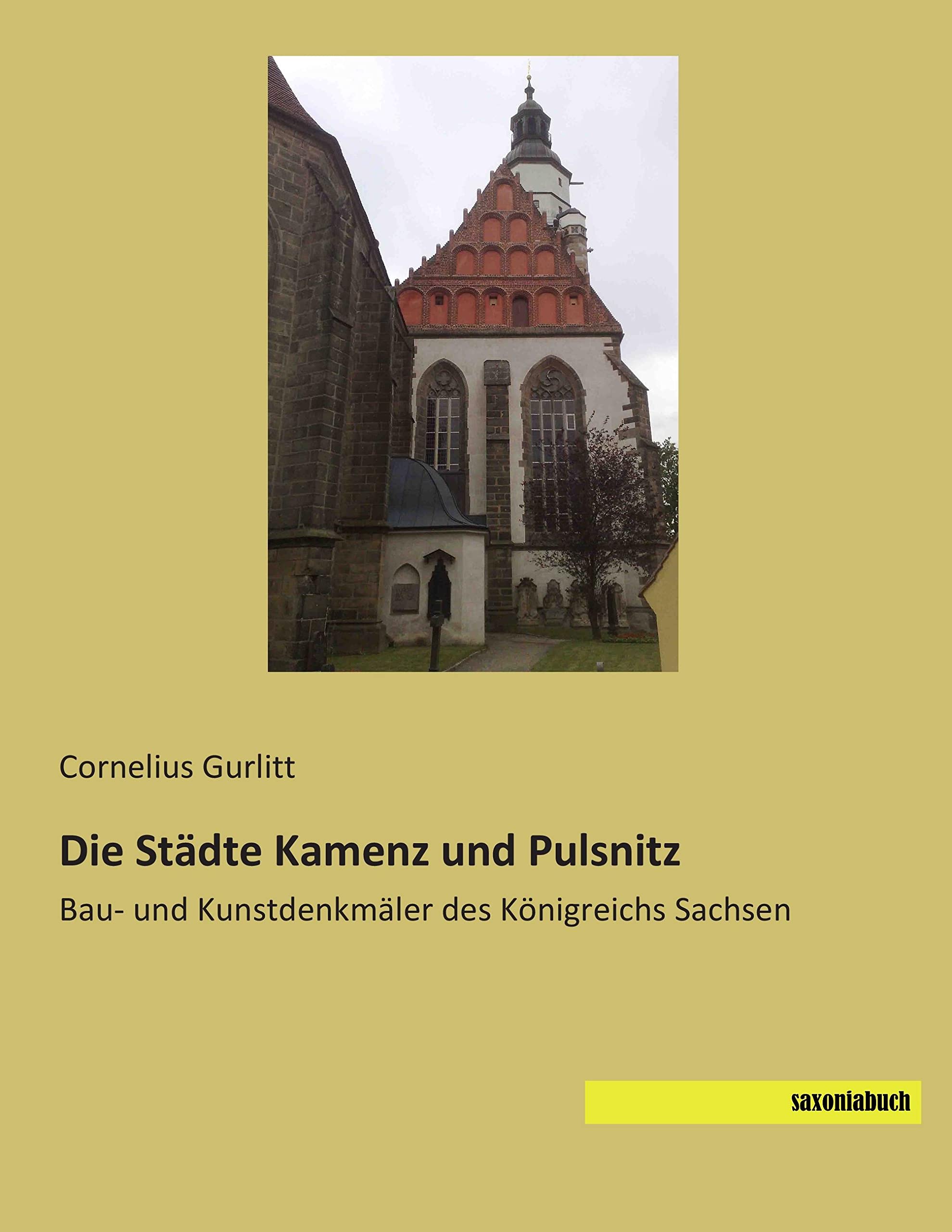 Die Staedte Kamenz und Pulsnitz: Bau- und Kunstdenkmaeler des Koenigreichs Sachsen: Bau- und Kunstdenkmäler des Königreichs Sachsen Politics & History