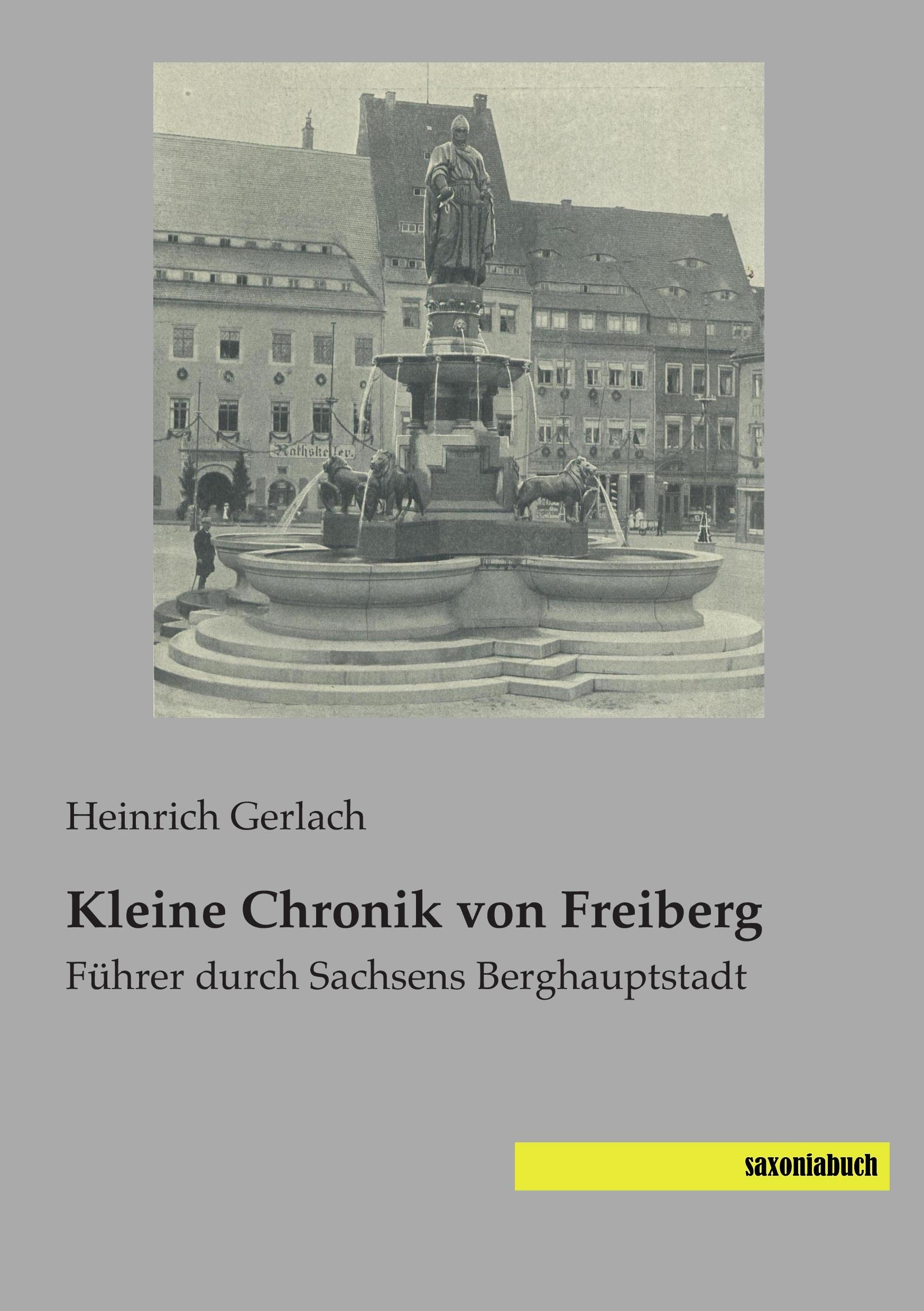Kleine Chronik von Freiberg: Fuehrer durch Sachsens Berghauptstadt: Führer durch Sachsens Berghauptstadt German history