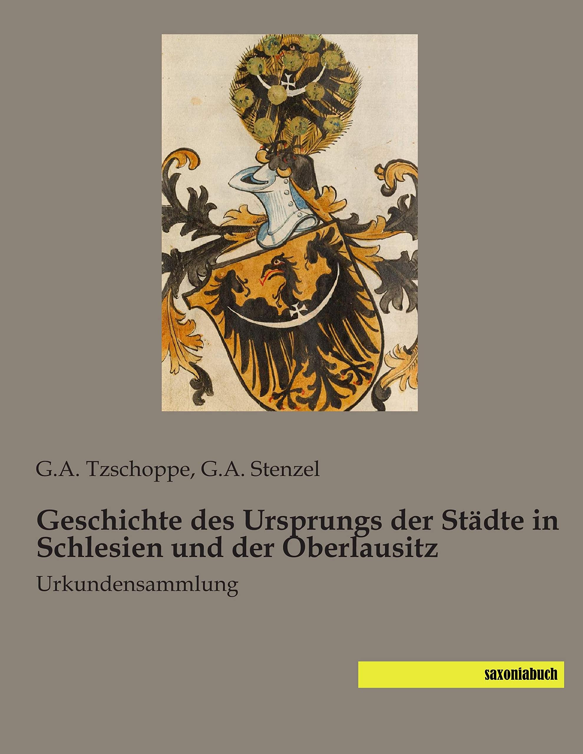 Geschichte des Ursprungs der Staedte in Schlesien und der Oberlausitz: Urkundensammlung Reference Books