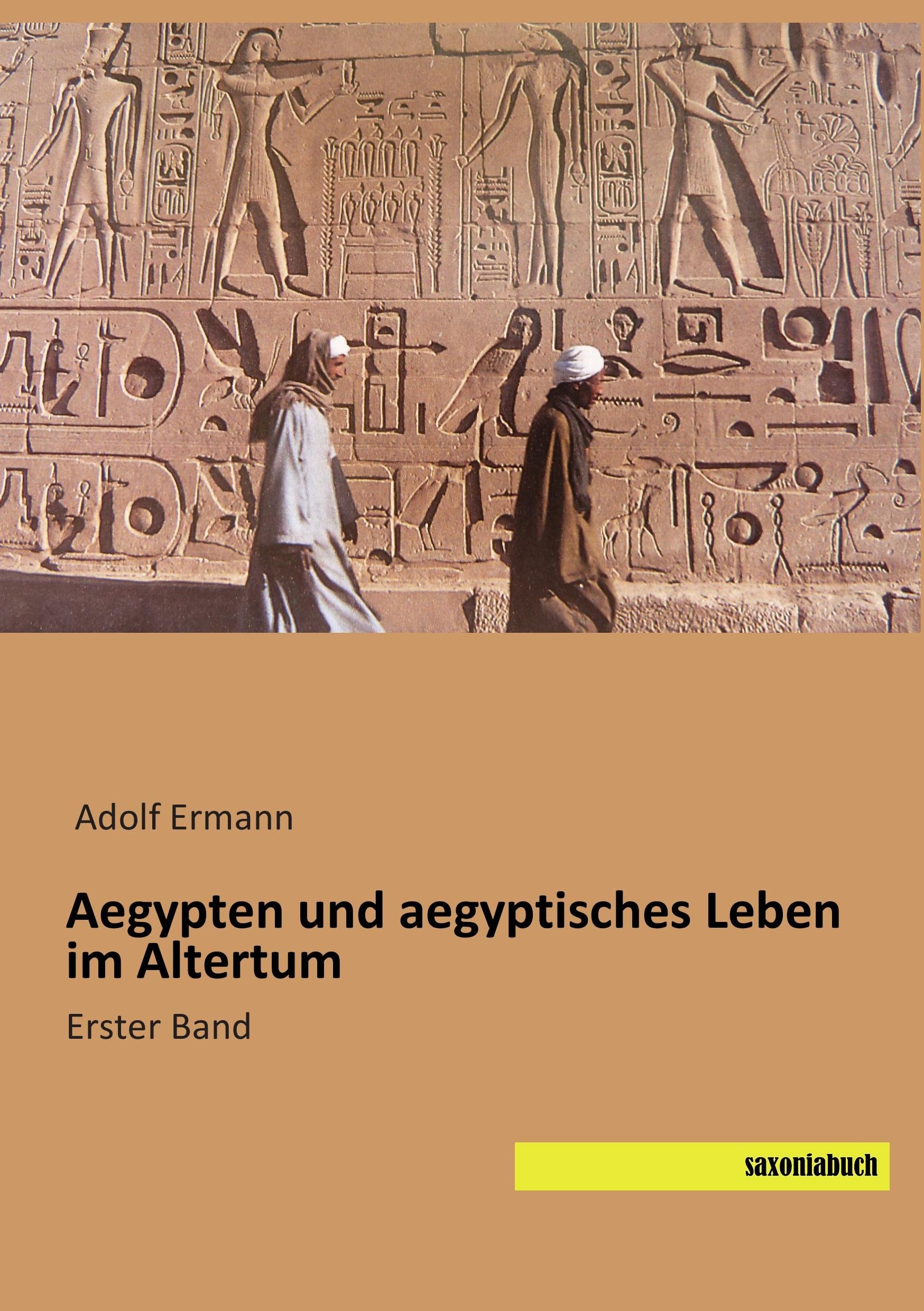 Aegypten und aegyptisches Leben im Altertum: Erster Band Politics & History