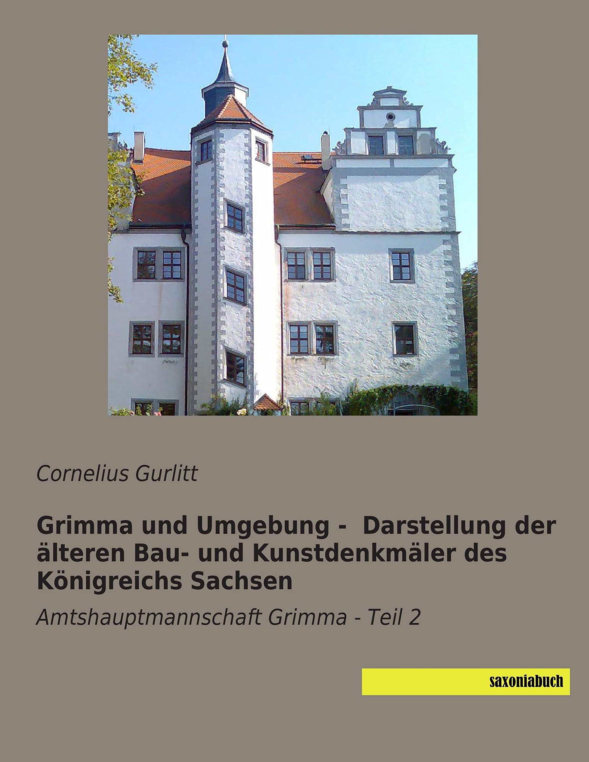 Grimma und Umgebung - Darstellung der aelteren Bau- und Kunstdenkmaeler: Amtshauptmannschaft Grimma - Teil 2 Architecture