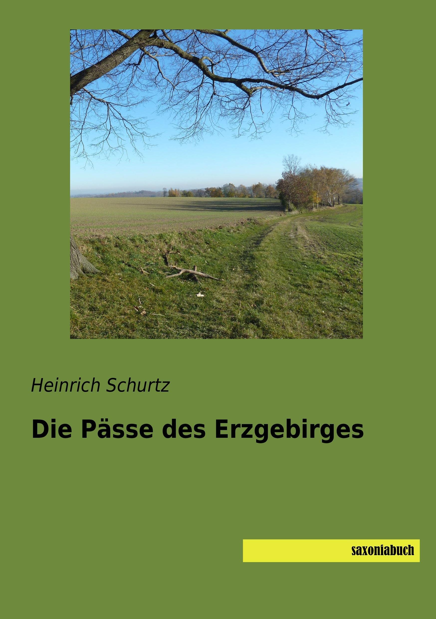 Die Paesse des Erzgebirges Geology & Geography