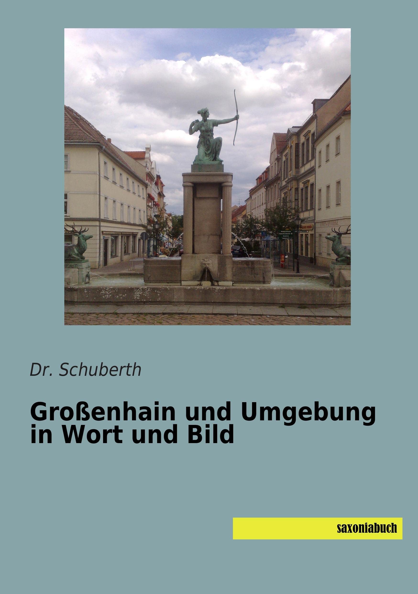 Grossenhain und Umgebung in Wort und Bild Politics & History