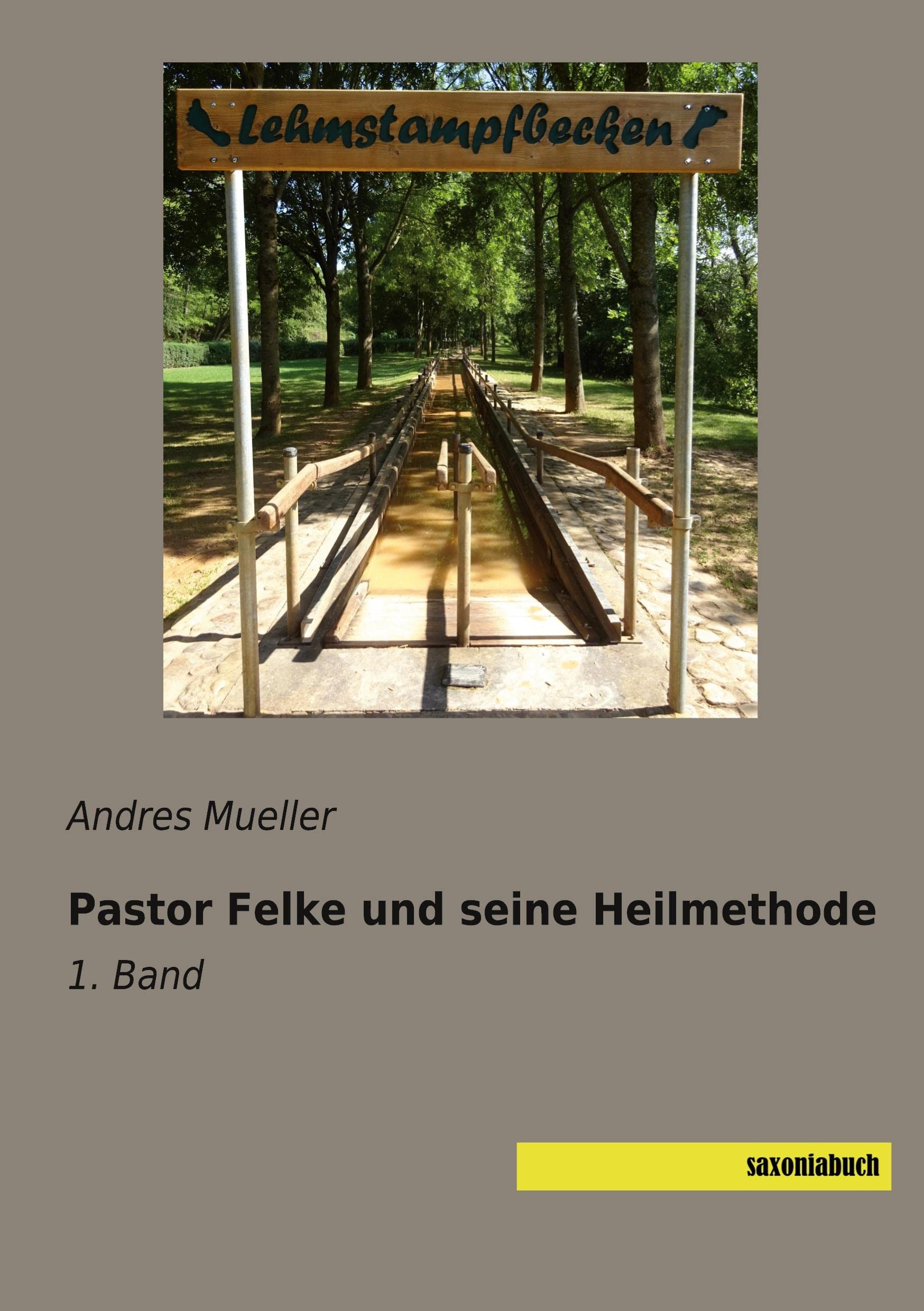 Pastor Felke und seine Heilmethode: 1. Band Medicine