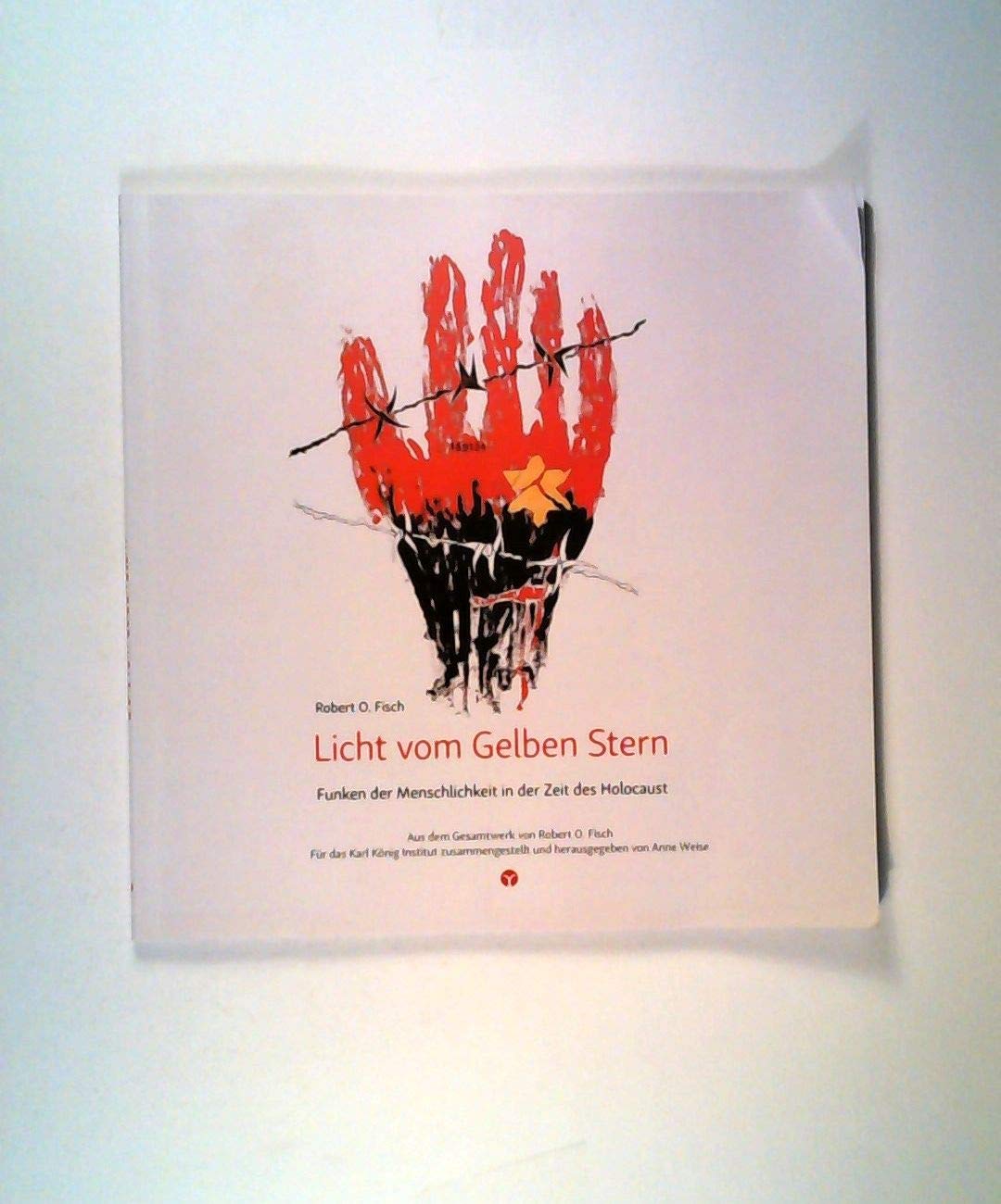Licht vom Gelben Stern: Funken der Menschlichkeit in der Zeit des Holocaust Contemporary literature