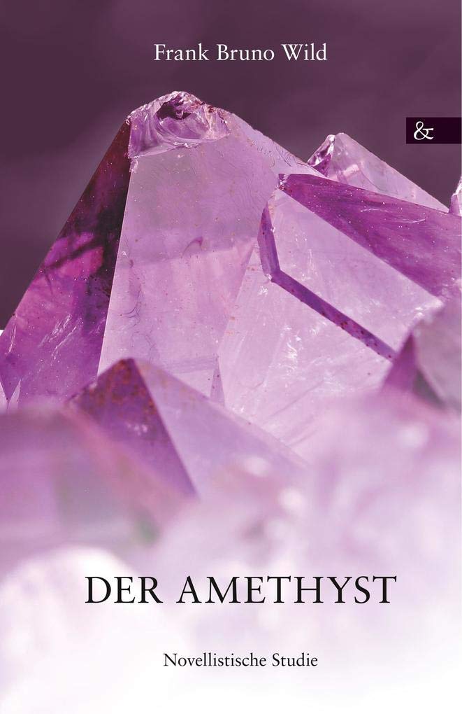 Der Amethyst: Novellistische Studie Contemporary literature