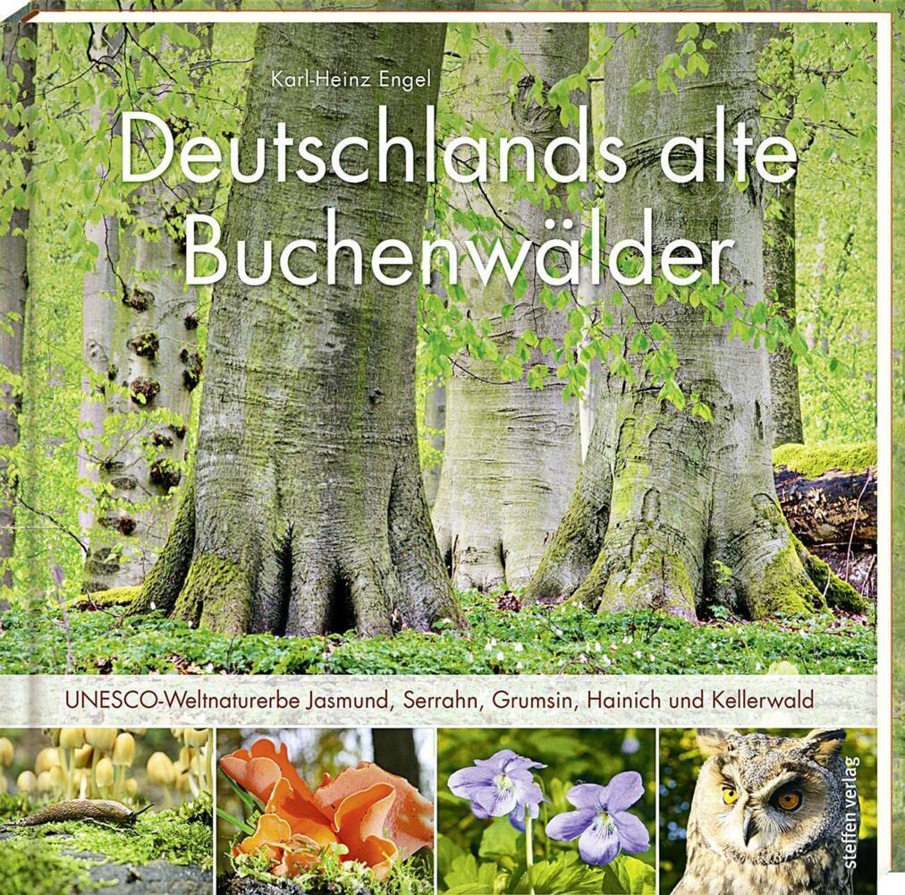Deutschlands alte Buchenwälder Geology & Geography