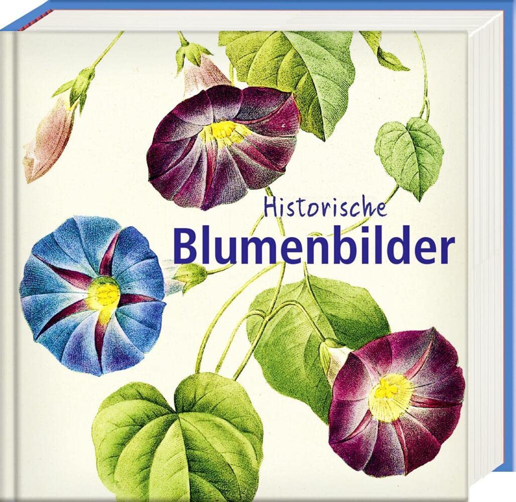 Historische Blumenbilder - Book To Go German history