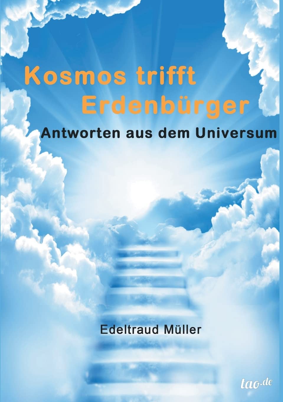 Kosmos trifft Erdenbürger: Antworten aus dem Universum Contemporary literature