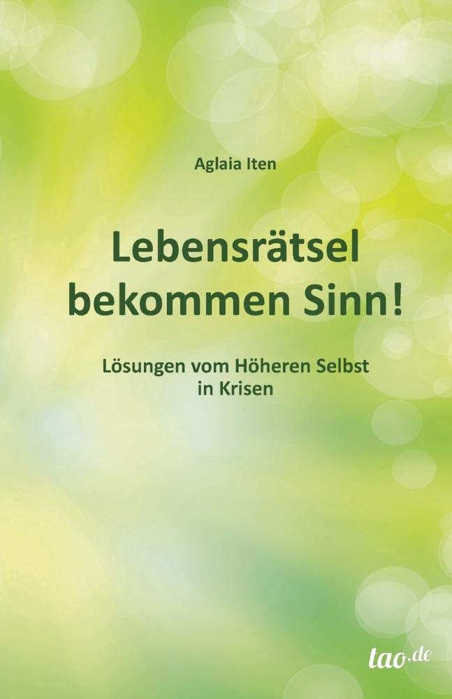 Lebensrätsel bekommen Sinn!: Lösungen vom Höheren Selbst in Krisen Business, Finance & Career