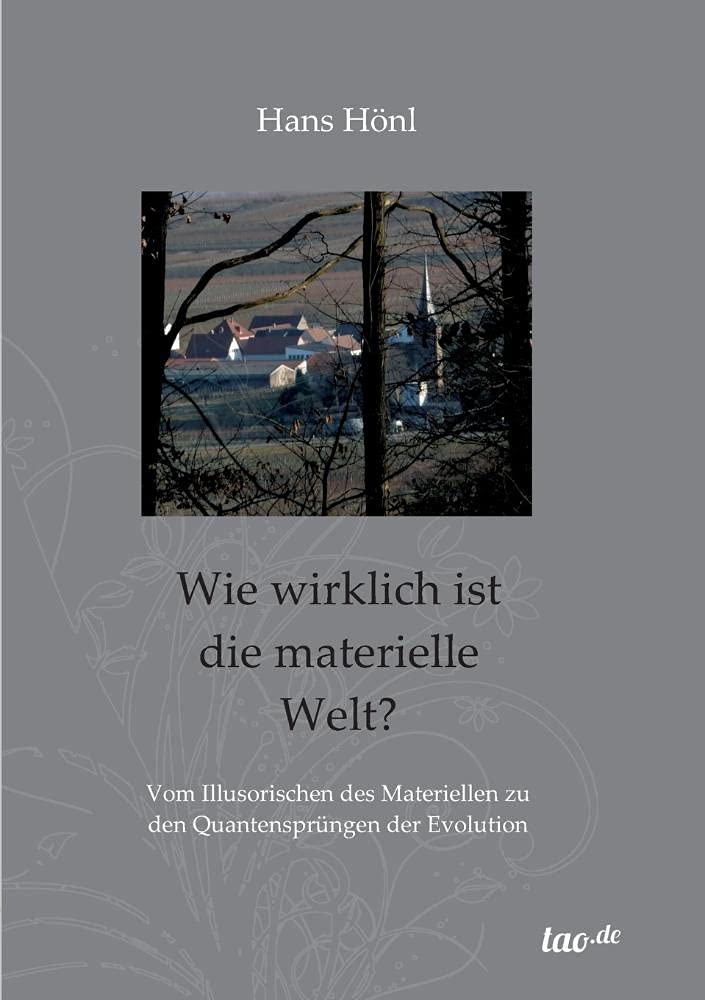 Wie wirklich ist die materielle Welt?: Vom Illusorischen des Materiellen zu den Quantensprüngen der Evolution Philosophy