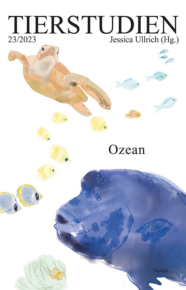 Product Image: Ozean