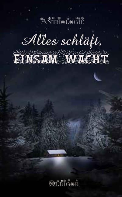 Alles schläft, einsam wacht: Anthologie Contemporary literature