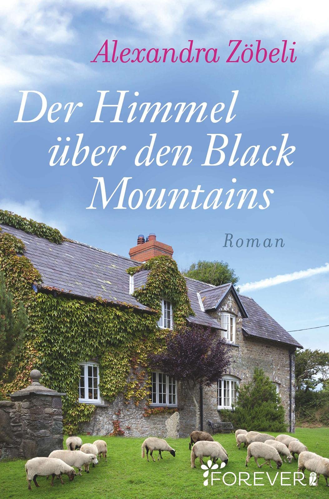 Product Image: Der Himmel über den Black Mountains