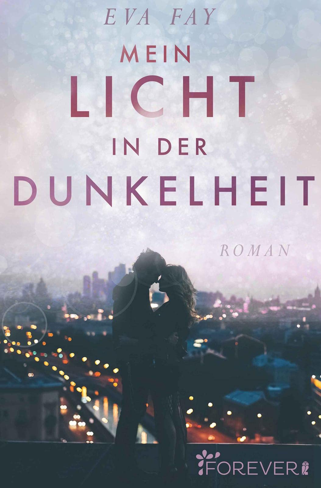Mein Licht in der Dunkelheit Contemporary literature