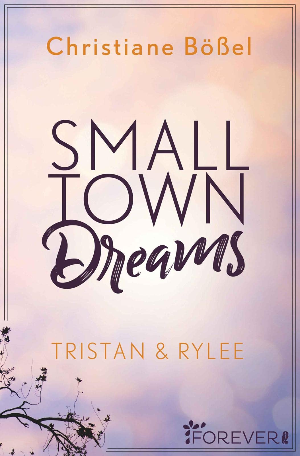 Small Town Dreams Contemporary literature Books