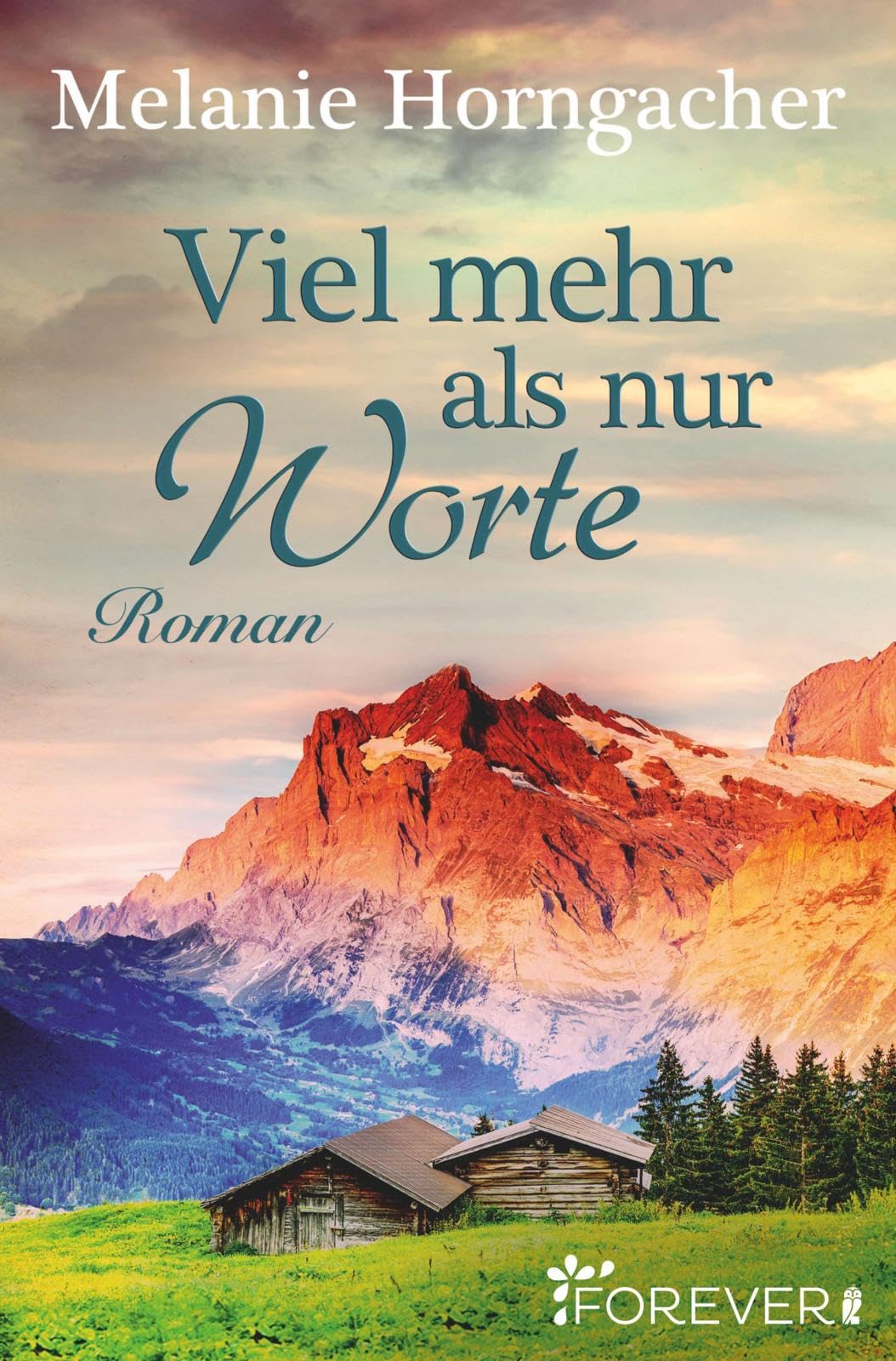 Viel mehr als nur Worte: Roman Contemporary literature