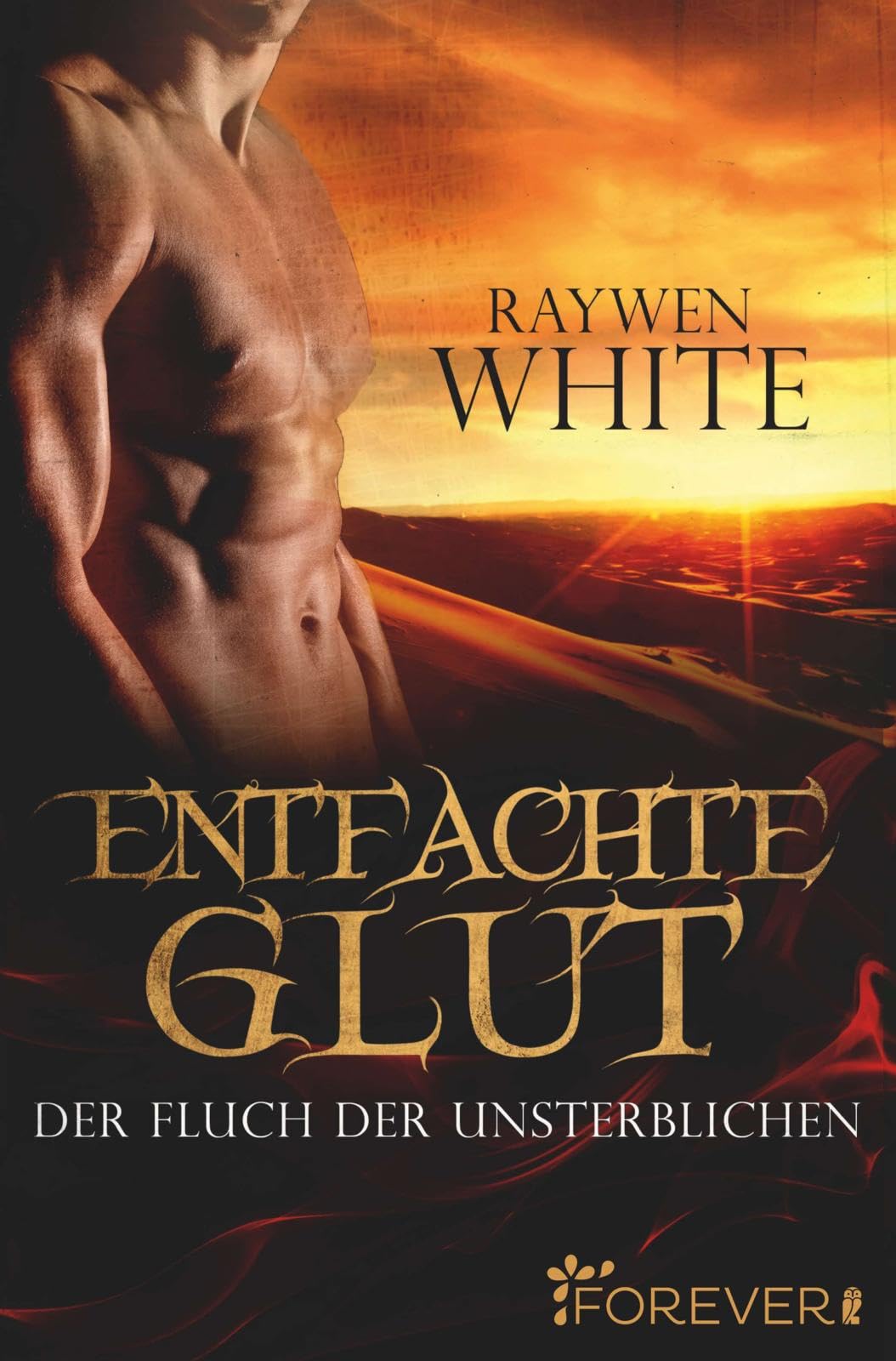 Entfachte Glut Contemporary literature Books
