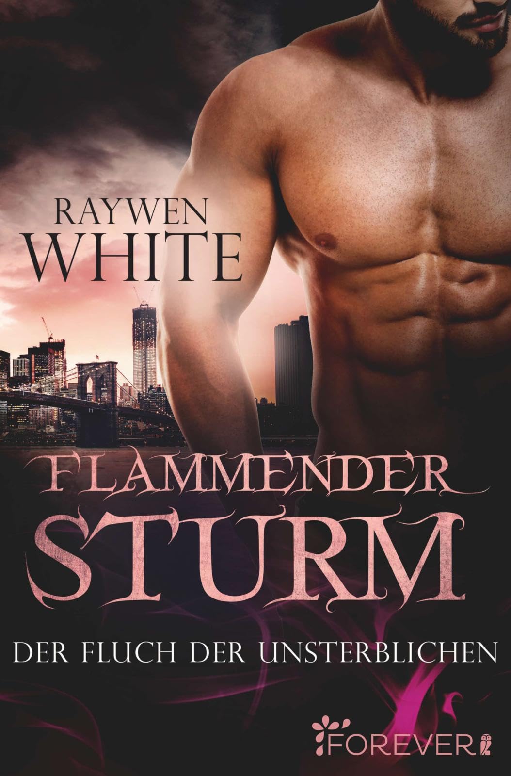 Flammender Sturm Contemporary literature Books