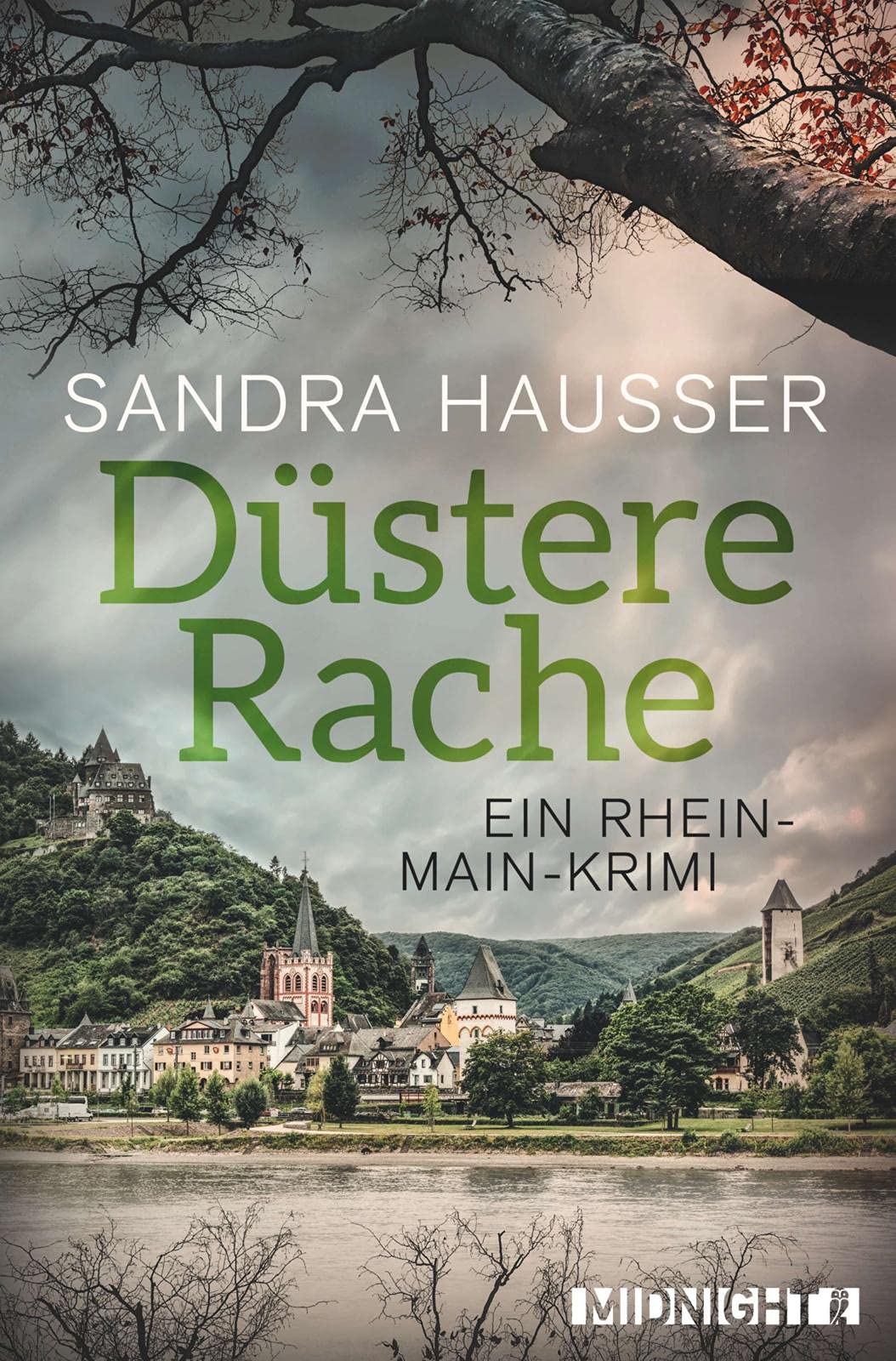 Düstere Rache Contemporary literature Books